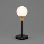 Frosted Globe Table Lamp